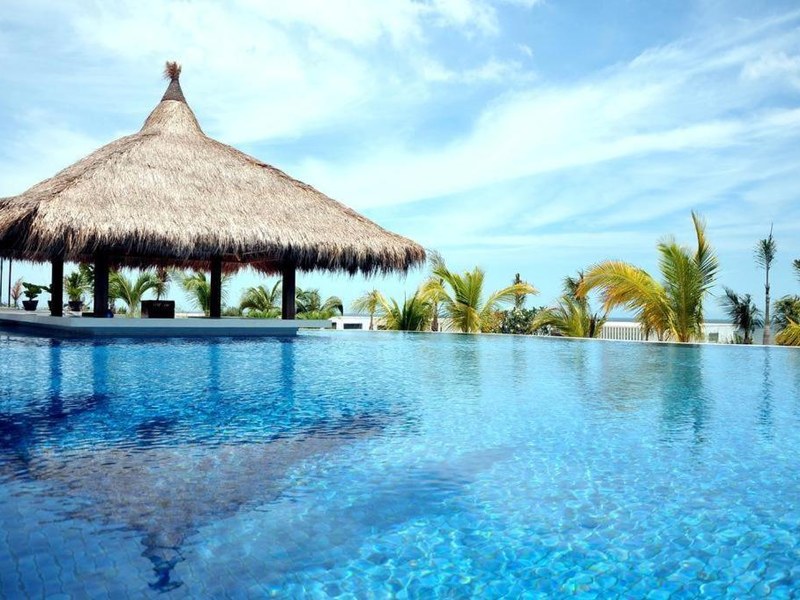 Infinity pool with a thatched shelter at its edge and the sea and palm trees behind