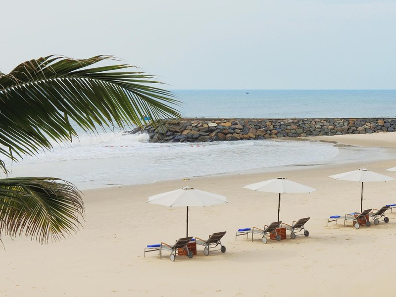 Sandy beach with white umbrellas and loungers, a palm frond in the foreground
